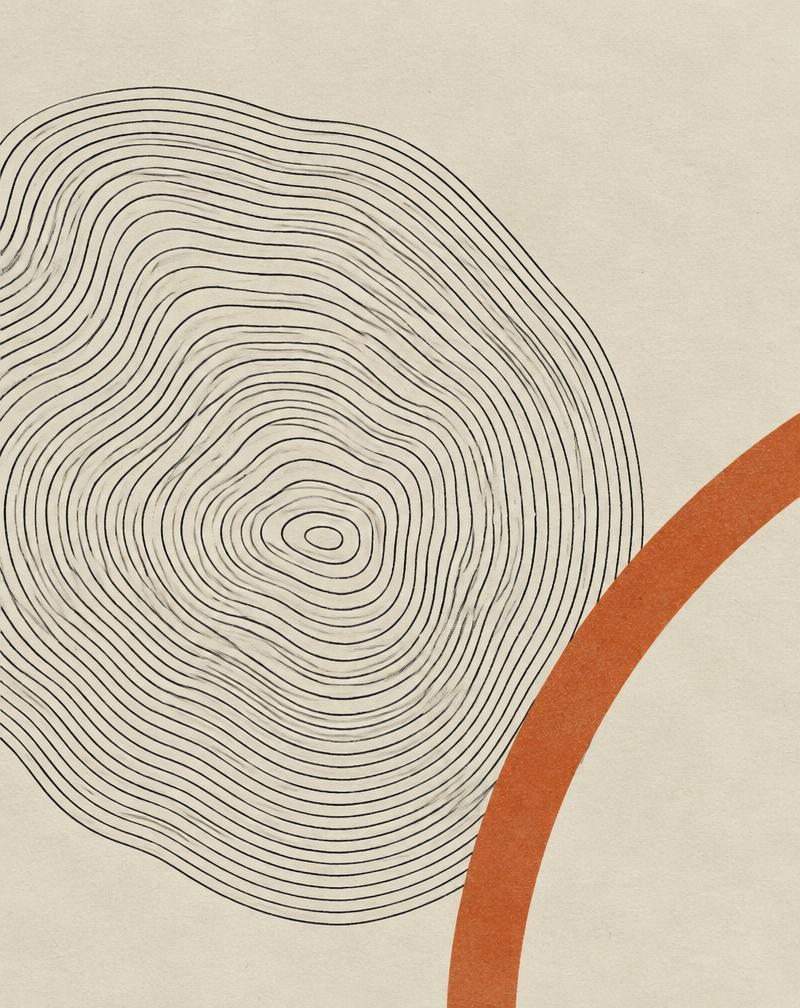 Concentric ink contour study